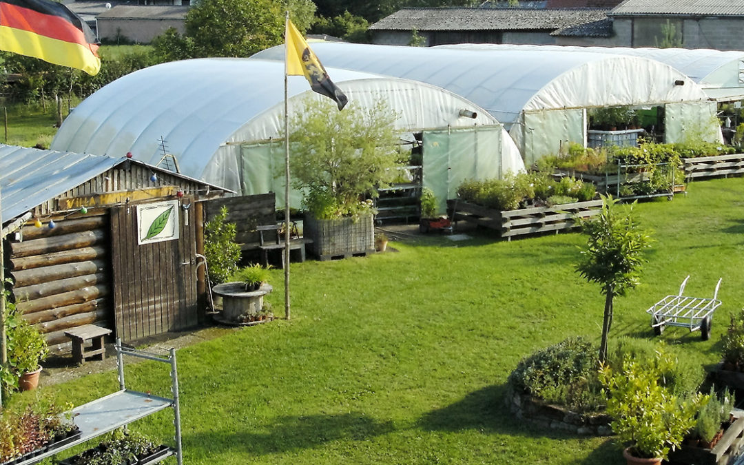 Pflanzenflohmarkt auf Spendenbasis bei Kräuter Gerda