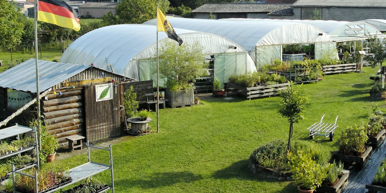 Pflanzenflohmarkt auf Spendenbasis bei Kräuter Gerda